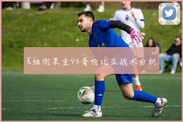 K组刚果金vs哥伦比亚战术分析