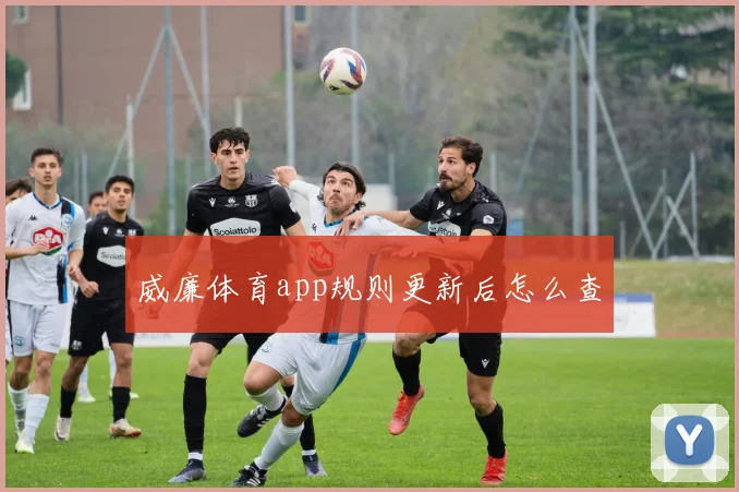 威廉体育app规则更新后怎么查